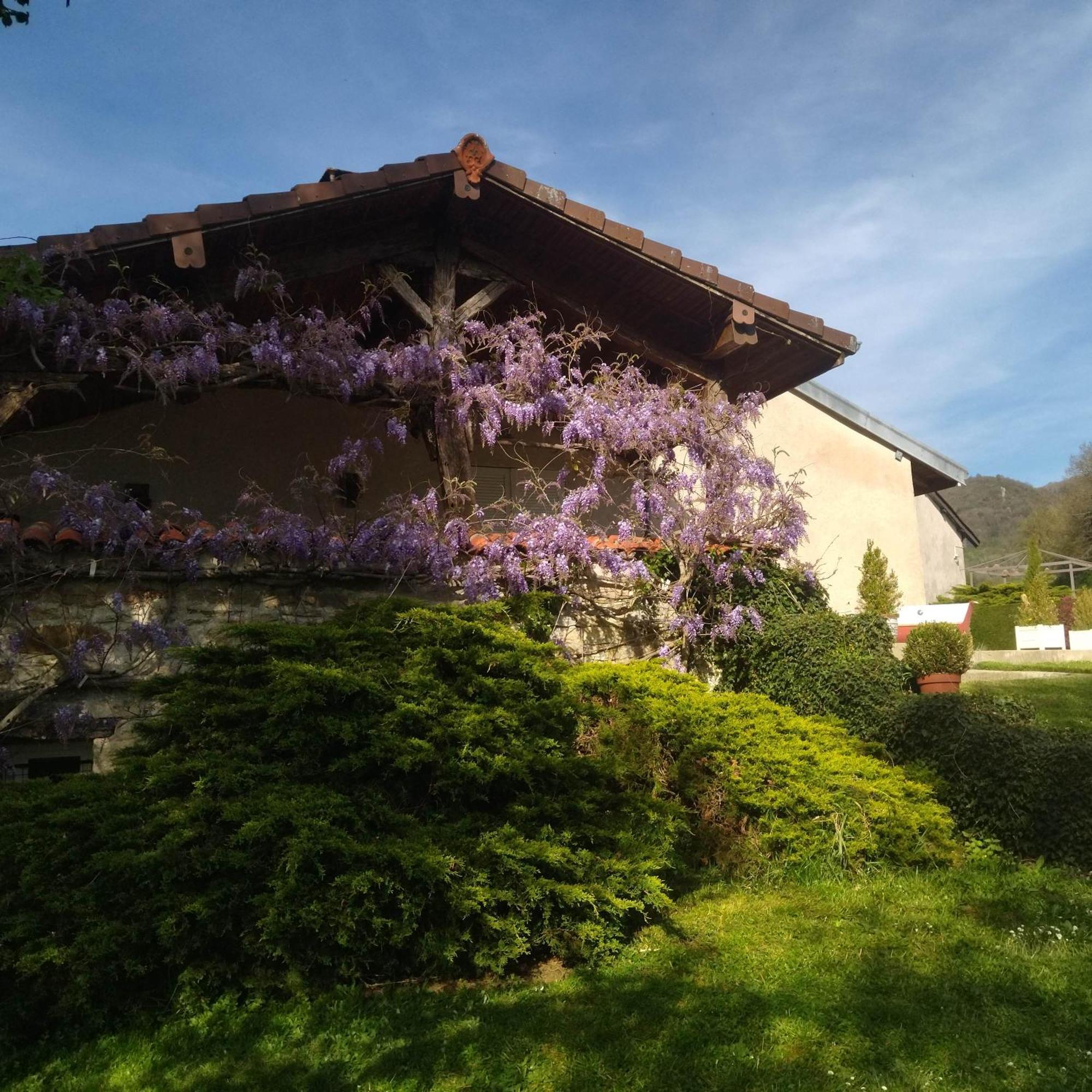 Gite De L'Ancheronne 12 Couchages Spa Lavans-sur-Valouse Bagian luar foto