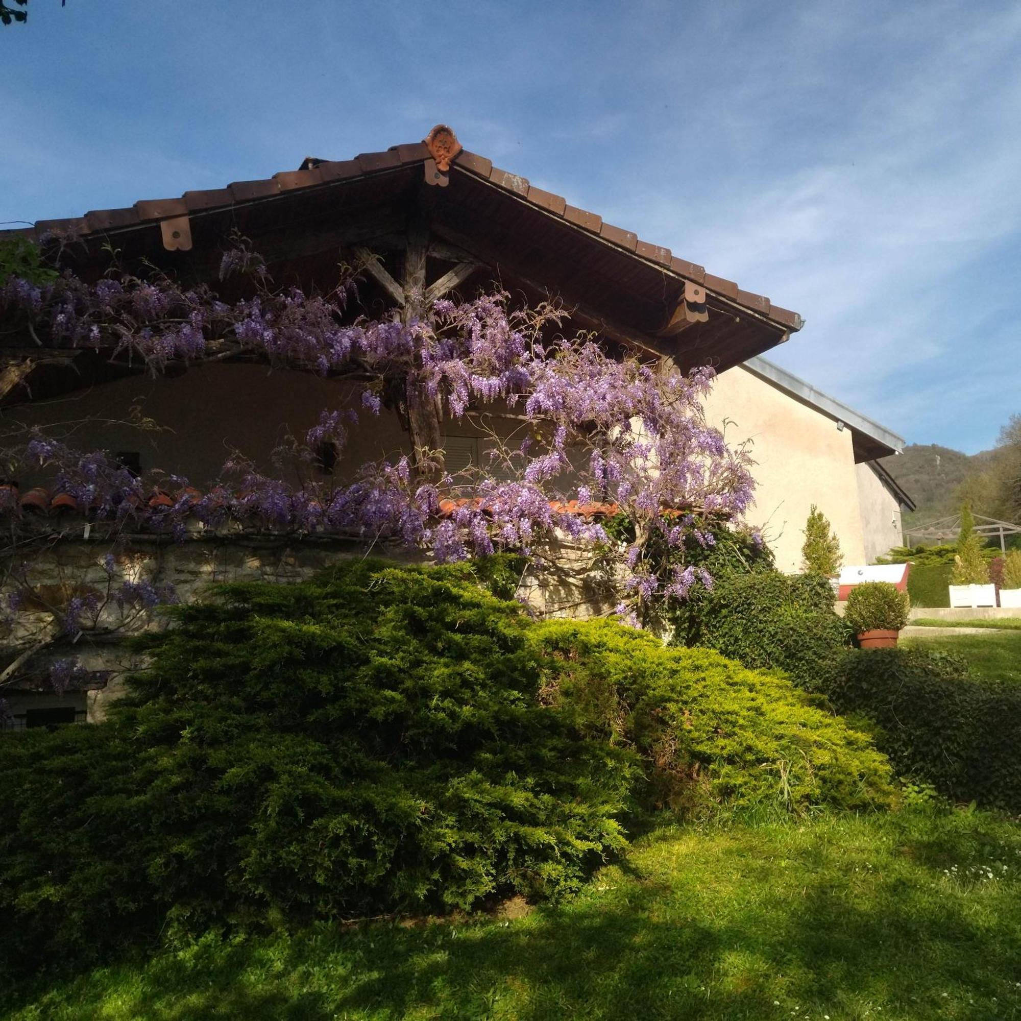 Gite De L'Ancheronne 12 Couchages Spa Villa Lavans-sur-Valouse Bagian luar foto